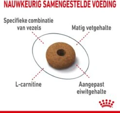 Royal Canin Appetite Control Care - Kattenvoer - 2 Kg 19 Royal Canin Appetite Control Care - Kattenvoer - 2 Kg -Kattenbenodigdheden Winkel 1200x1128 1