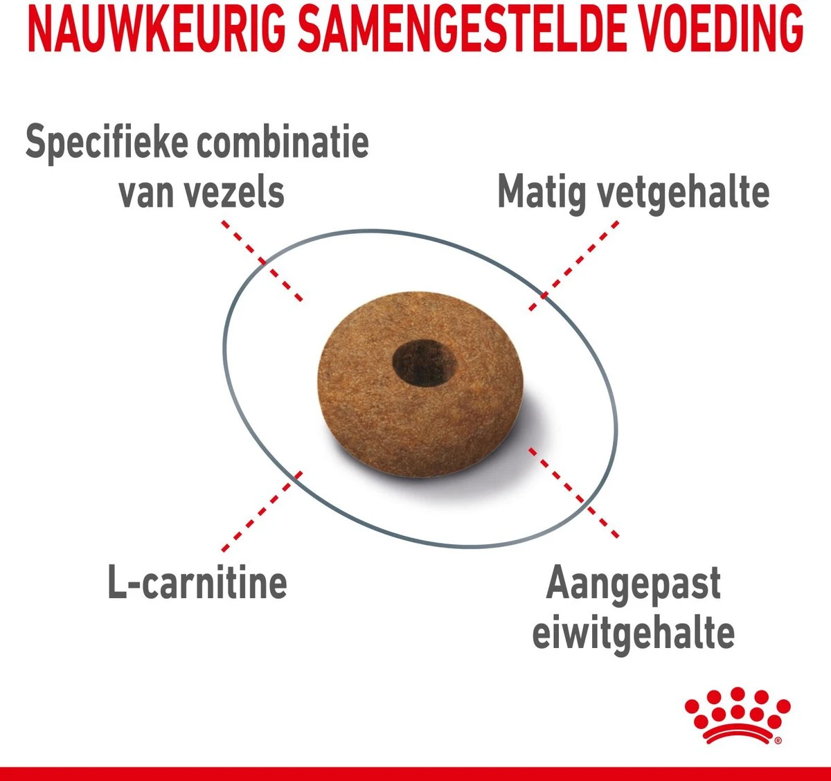 Royal Canin Appetite Control Care - Kattenvoer - 2 Kg 4 Royal Canin Appetite Control Care - Kattenvoer - 2 Kg - Afbeelding 4