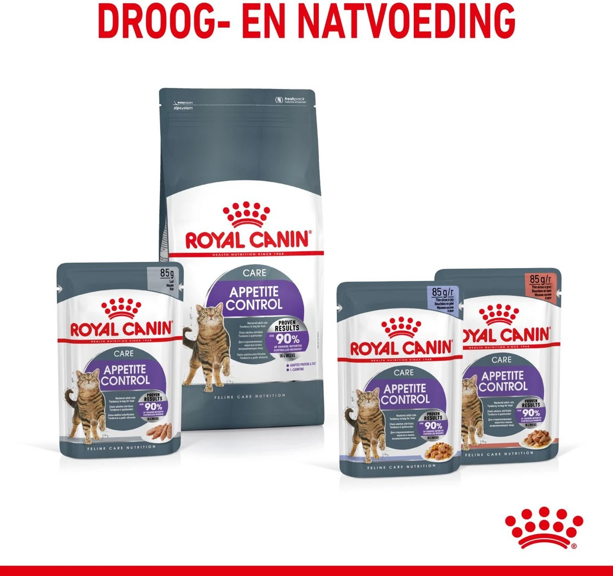 Royal Canin Appetite Control Care - Kattenvoer - 2 Kg 11 Royal Canin Appetite Control Care - Kattenvoer - 2 Kg - Afbeelding 11