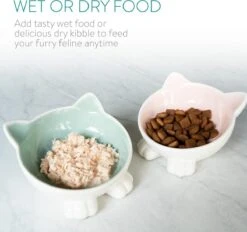 Navaris Voerbakjes Voor Katten - Set Van 2 Voer- En Waterbakken - Etensbak Van Keramiek - Met Antislip Voetjes - Kattenvorm - Roze/Groen -Kattenbenodigdheden Winkel 1200x1128 7