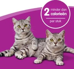 Whiskas Dentabites Kattensnoepjes - Kip - 8 X 40g -Kattenbenodigdheden Winkel 1200x1129 4