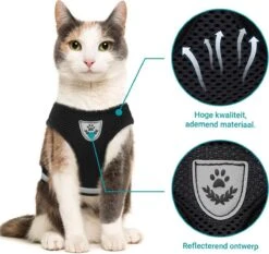 Merkloos Kattentuigje Met Looplijn | Zwart Kattenharnas | Easy Step In | Kattenriem | Kattenlijn | Kattentuig | Maat S 11 Merkloos Kattentuigje Met Looplijn | Zwart Kattenharnas | Easy Step In | Kattenriem | Kattenlijn | Kattentuig | Maat S -Kattenbenodigdheden Winkel 1200x1131 5