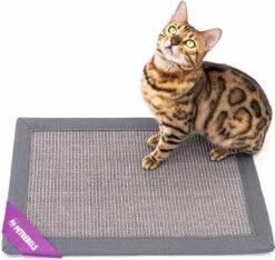 Petrebels Mastermat 60 Katten Krabmat - Grijs - 60 X 40 Cm - Zeer Sterk 18 Petrebels Mastermat 60 Katten Krabmat - Grijs - 60 X 40 Cm - Zeer Sterk -Kattenbenodigdheden Winkel 1200x1137 11