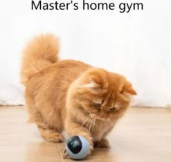 Otiume Interactieve Speelbal - Slimme Interactieve Jaag Speeltje Voor Katten - Kattenspeeltjes - Intelligente Jaagbal - AI -USB Oplaadbaar - LED - Blauw -Kattenbenodigdheden Winkel 1200x1137 8