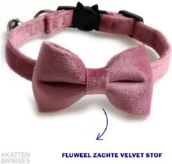 Kattenhalsband Velvet Met Strik | Halsband Kat | Kattenband Velours | Kattenbandje Velvet Met Strik, Veiligheidssluiting En Belletje In Roze -Kattenbenodigdheden Winkel 1200x1141 6