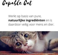 Capable Cat Vlooienband Kat | Vlooien | Luizen | Teken | Mijten | 8 Maanden Bescherming | Katten -Kattenbenodigdheden Winkel 1200x1142 1