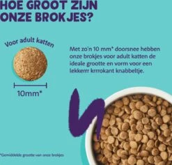 Edgard & Cooper Kattenvoer Adult Zalm 4 Kg -Kattenbenodigdheden Winkel 1200x1149 2