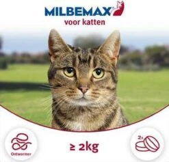 Milbemax Kat Groot - 1 ST à 2 X 2 TABL 17 Milbemax Kat Groot - 1 ST à 2 X 2 TABL -Kattenbenodigdheden Winkel 1200x1152 4