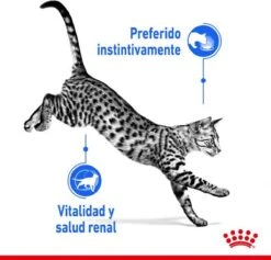 Royal Canin Feline Sterilised Indoor In Gravy -Kattenbenodigdheden Winkel 1200x1153