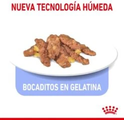 Royal Canin Feline Sterilised Indoor In Gravy -Kattenbenodigdheden Winkel 1200x1155