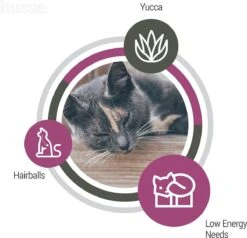 Husse Exclusive Katt Sterilised - Kattenvoer -7 Kg -Kattenbenodigdheden Winkel 1200x1158 2