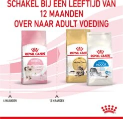 Royal Canin Kitten - Kittenvoer - 2 Kg -Kattenbenodigdheden Winkel 1200x1159 2