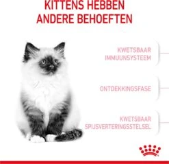 Royal Canin Kitten - Kittenvoer - 2 Kg -Kattenbenodigdheden Winkel 1200x1159