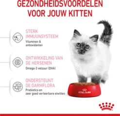 Royal Canin Kitten - Kittenvoer - 2 Kg -Kattenbenodigdheden Winkel 1200x1159 4