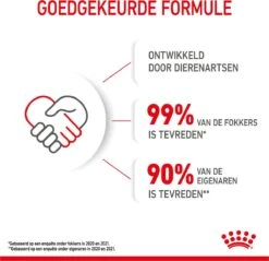 Royal Canin Kitten - Kittenvoer - 2 Kg -Kattenbenodigdheden Winkel 1200x1159 5