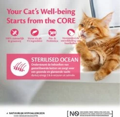 Wellness Core Kattenvoer Sterilised Zalm 4 Kg -Kattenbenodigdheden Winkel 1200x1160 2