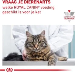 Royal Canin Gastro Intestinal Hairball - Kattenvoer Ter Ondersteuning Bij Haarballen 4 Kg -Kattenbenodigdheden Winkel 1200x1160 3