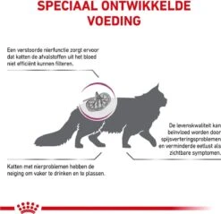 Royal Canin Renal Special - Kattenvoer - 4 Kg -Kattenbenodigdheden Winkel 1200x1161 3
