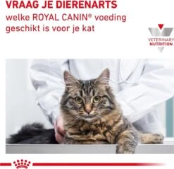Royal Canin Renal Special - Kattenvoer - 4 Kg -Kattenbenodigdheden Winkel 1200x1161 5