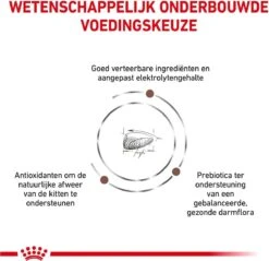 Royal Canin Gastrointestinal Kitten - 2 Kg -Kattenbenodigdheden Winkel 1200x1162 1