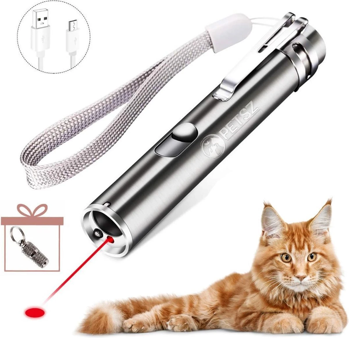 Laserpen - USB - Kattenspeeltjes - Zaklamp - Kat - Laser - Kattenspeelgoed - RVS Opbergblikje 1 Laserpen - USB - Kattenspeeltjes - Zaklamp - Kat - Laser - Kattenspeelgoed - RVS Opbergblikje