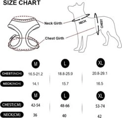 *** Katy`s Kattentuigje Zwart Maat M Met Looplijn - Kleine Hond - Kattenharnas - Honden Harnas - Kattenriem - Uitlaten - Van Heble® *** 8 *** Katy`s Kattentuigje Zwart Maat M Met Looplijn - Kleine Hond - Kattenharnas - Honden Harnas - Kattenriem - Uitlaten - Van Heble® *** -Kattenbenodigdheden Winkel 1200x1162 15