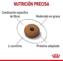 Royal Canin Appetite Control Care - Kattenvoer - 2 Kg 24 Royal Canin Appetite Control Care - Kattenvoer - 2 Kg -Kattenbenodigdheden Winkel 1200x1162 3