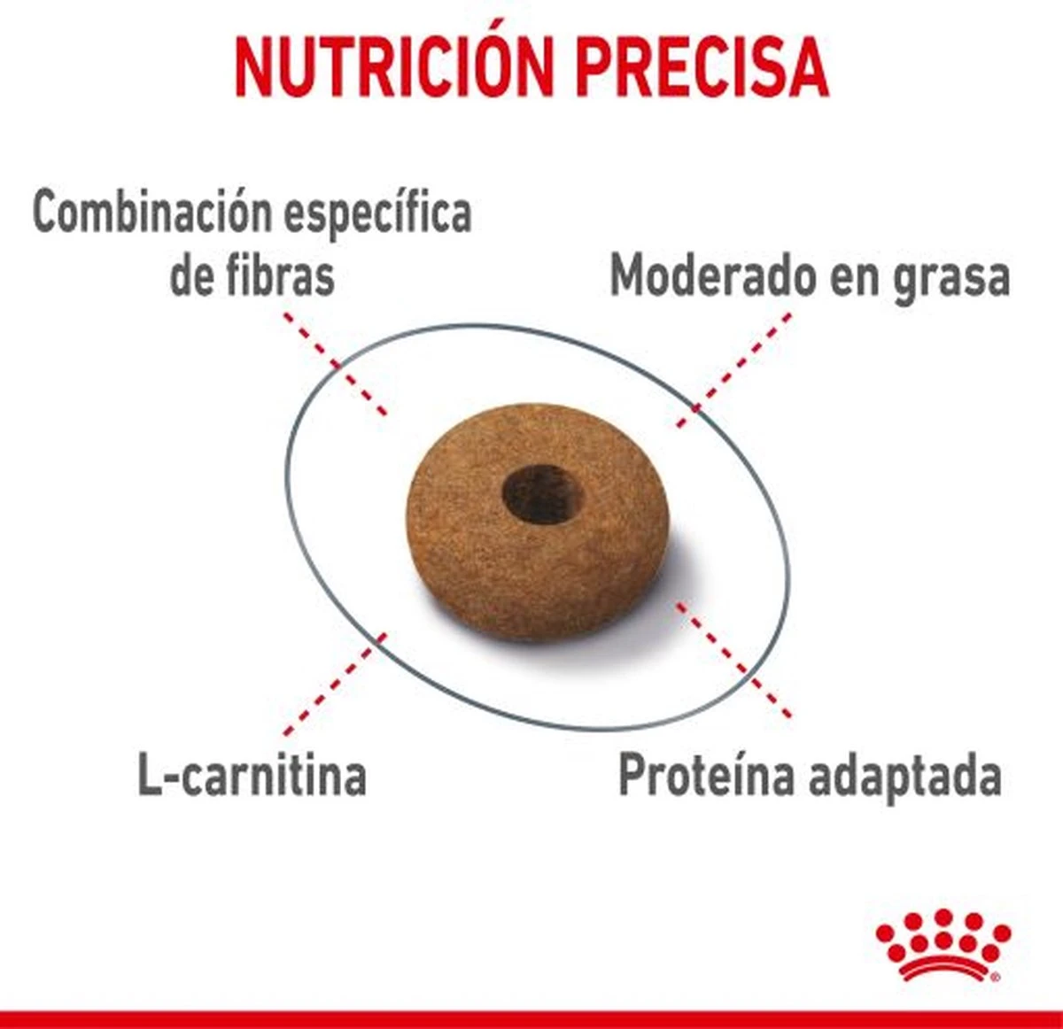 Royal Canin Appetite Control Care - Kattenvoer - 2 Kg 9 Royal Canin Appetite Control Care - Kattenvoer - 2 Kg - Afbeelding 9