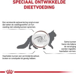 Royal Canin Gastro Intestinal Hairball - Kattenvoer Ter Ondersteuning Bij Haarballen 4 Kg -Kattenbenodigdheden Winkel 1200x1162 4