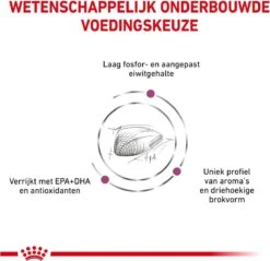 Royal Canin Renal Special - Kattenvoer - 4 Kg -Kattenbenodigdheden Winkel 1200x1163 2
