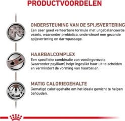 Royal Canin Gastro Intestinal Hairball - Kattenvoer Ter Ondersteuning Bij Haarballen 4 Kg -Kattenbenodigdheden Winkel 1200x1163 5