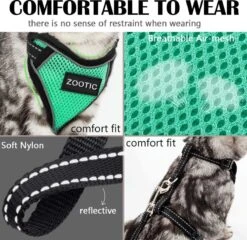 Kattentuigje Met Leiband Riem Kattenharnas Groen Maat L Kat & Kitten - Dieren Kattenriem - Cat Leash - Halsomvang 24 Tot 33cm - Borstomvang 36 Tot 41cm - Zootic® -Kattenbenodigdheden Winkel 1200x1164 8