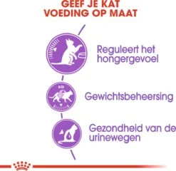 Royal Canin Appetite Control Care - Kattenvoer - 2 Kg 20 Royal Canin Appetite Control Care - Kattenvoer - 2 Kg -Kattenbenodigdheden Winkel 1200x1167 1