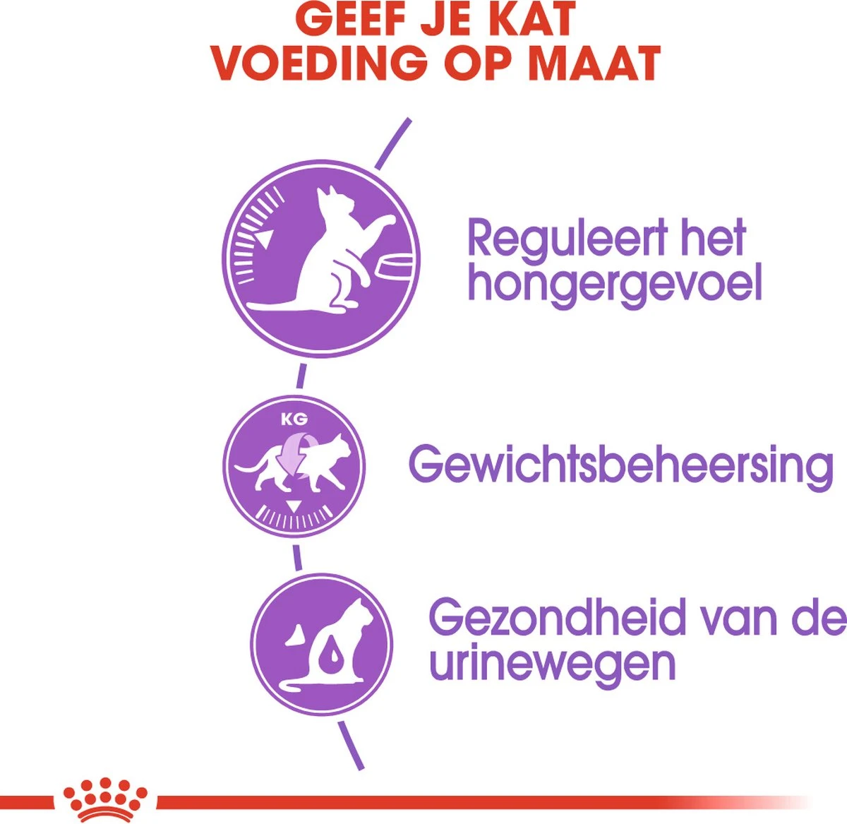 Royal Canin Appetite Control Care - Kattenvoer - 2 Kg 5 Royal Canin Appetite Control Care - Kattenvoer - 2 Kg - Afbeelding 5