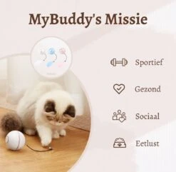 MyBuddy - Interactieve Zelf Rollende Bal - Kattenspeeltjes - Kattenspeelgoed - Bal Voor Katten - LED Lights - Speelgoed - USB - Roze -Kattenbenodigdheden Winkel 1200x1171
