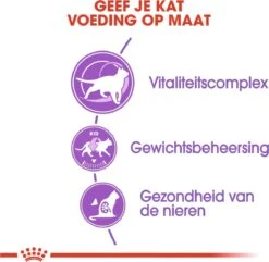 Royal Canin Sterilised 7+ - Kattenvoer - 10 Kg -Kattenbenodigdheden Winkel 1200x1172 1