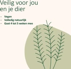 Catuals Kattenbakvulling Geurverdrijver - Neutraliseert Urinegeur Van Katten - Cotton Fresh - 500g 13 Catuals Kattenbakvulling Geurverdrijver - Neutraliseert Urinegeur Van Katten - Cotton Fresh - 500g -Kattenbenodigdheden Winkel 1200x1172 10