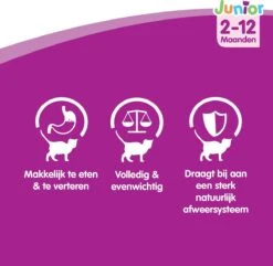 Whiskas Junior Katten Natvoer - Classic Selectie In Saus - 48 X 100g -Kattenbenodigdheden Winkel 1200x1172 6