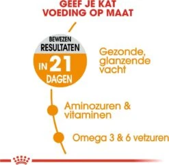 Royal Canin Hair & Skin Care - Kattenvoer - 2 Kg -Kattenbenodigdheden Winkel 1200x1177 3