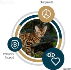 Husse Opus Lynx Senior Graanvrij Kattenvoer - 7 Kg -Kattenbenodigdheden Winkel 1200x1178 1