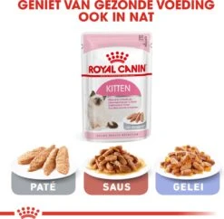 Royal Canin Kitten - Kittenvoer - 2 Kg -Kattenbenodigdheden Winkel 1200x1178