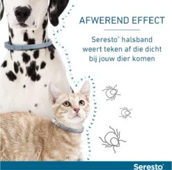 Seresto Teken- En Vlooienband - Anti Tekenmiddel - Kat - 38 Cm -Kattenbenodigdheden Winkel 1200x1179