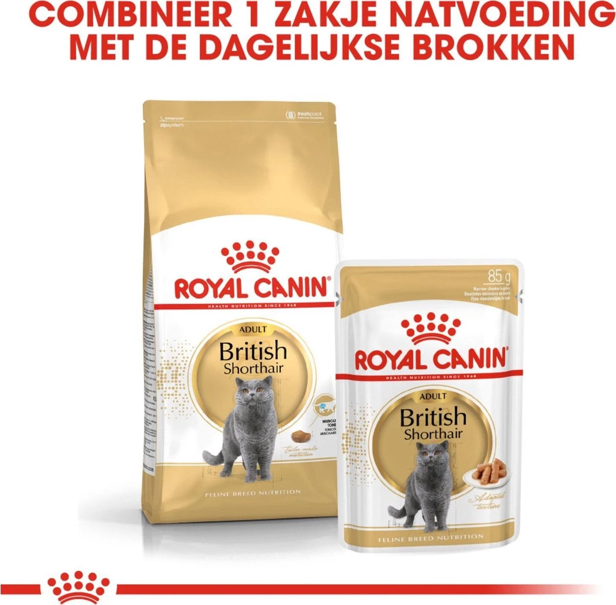 Royal Canin Fbn British Shorthair Adult Pouch - Kattenvoer - 12x85 G 5 Royal Canin Fbn British Shorthair Adult Pouch - Kattenvoer - 12x85 G - Afbeelding 5