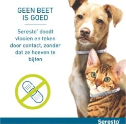 Seresto Teken- En Vlooienband - Anti Tekenmiddel - Kat - 38 Cm -Kattenbenodigdheden Winkel 1200x1180 3