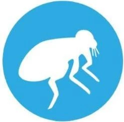 Bayer Bolfo Gold 40 Anti Vlooienmiddel - Kat - 0 Tot 4 Kg - 4 Pipetten -Kattenbenodigdheden Winkel 1200x1180 5