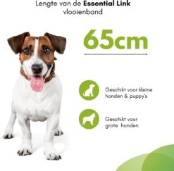 Essential Link Teken- En Vlooienband - Vlooienband Kat/Hond – Anti Vlooien – Vlooienmiddel - Tekenband - Diervriendelijk -Kattenbenodigdheden Winkel 1200x1181 1