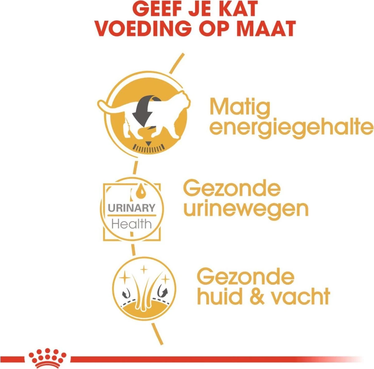 Royal Canin Fbn British Shorthair Adult Pouch - Kattenvoer - 12x85 G 4 Royal Canin Fbn British Shorthair Adult Pouch - Kattenvoer - 12x85 G - Afbeelding 4