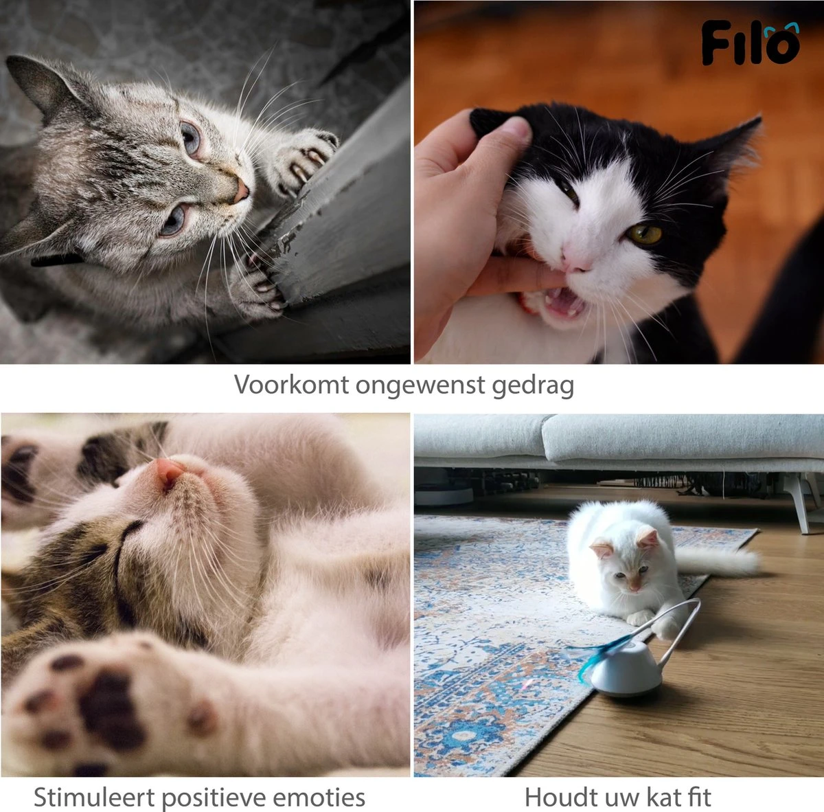 Filo Elektrisch Rijdend Kattenspeelgoed Met Laser - Rijdend Kattenspeeltje - Automatisch Interactief Speelgoed Katten - Kattencadeaus - Elektronisch Speelgoed Kittens - Kat - Kitten - Laserspeelgoed - Kado 10 Filo Elektrisch Rijdend Kattenspeelgoed Met Laser - Rijdend Kattenspeeltje - Automatisch Interactief Speelgoed Katten - Kattencadeaus - Elektronisch Speelgoed Kittens - Kat - Kitten - Laserspeelgoed - Kado - Afbeelding 10