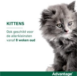 Bayer Advantage 40 Tegen Vlooien - <4kg - 4 X 0,4 Ml - Adult -Kattenbenodigdheden Winkel 1200x1183
