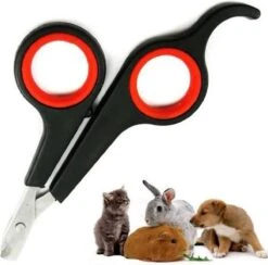 Noix Katten Nagelknipper - Nagelschaar - Dieren Nagelschaartje - Geschikt Voor De Kat 12 Noix Katten Nagelknipper - Nagelschaar - Dieren Nagelschaartje - Geschikt Voor De Kat -Kattenbenodigdheden Winkel 1200x1184 9